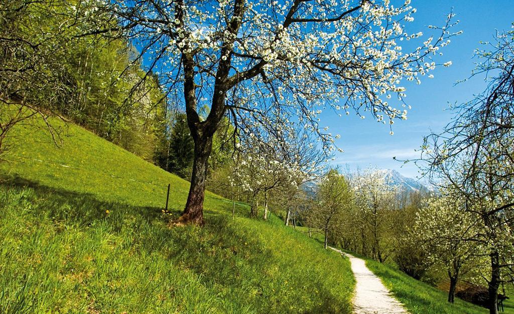 Отель Agerhof Зёлль Экстерьер фото